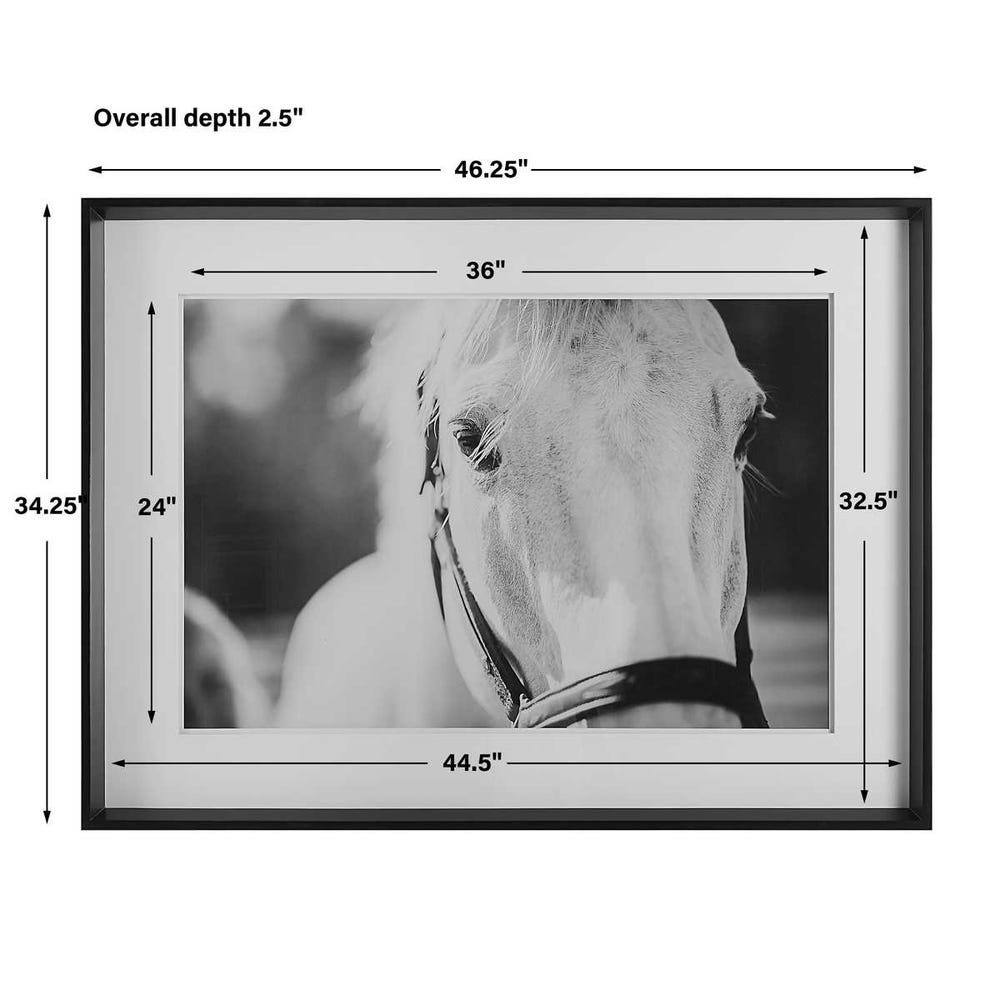Eyes On The Prize Framed Print - Urban Ashram