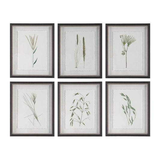 Forest Finds Framed Prints, Set of 6