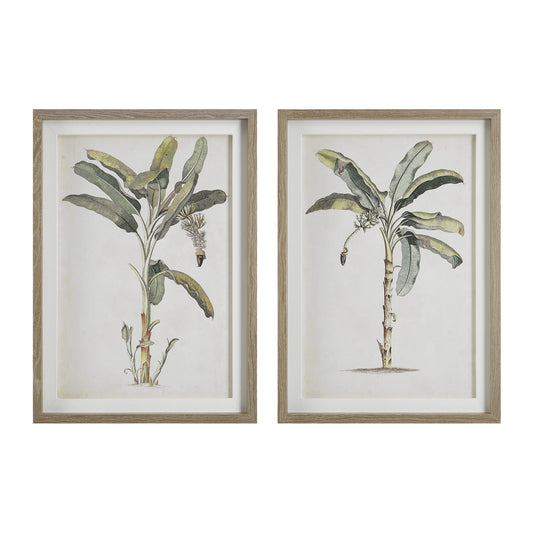 Banana Palm Framed Prints, Set of 2 on white background