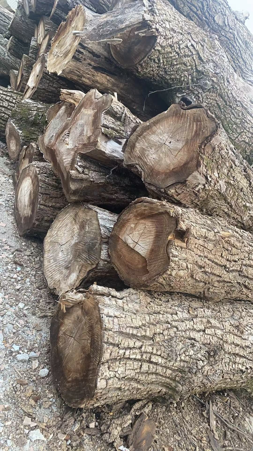 Wabi-sabi Live Edge Wood Bed