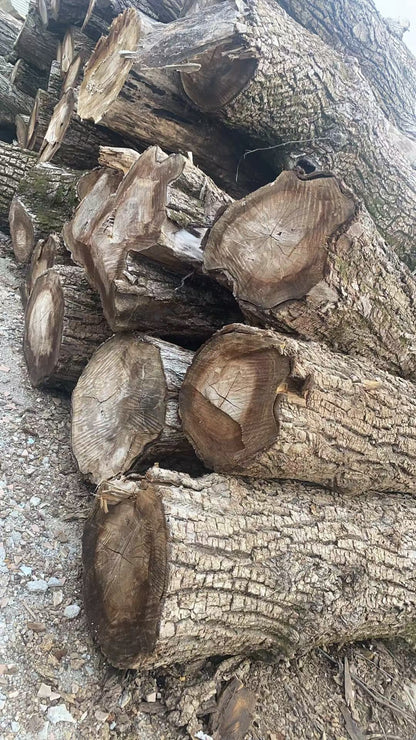 Wabi-sabi Live Edge Wood Bed