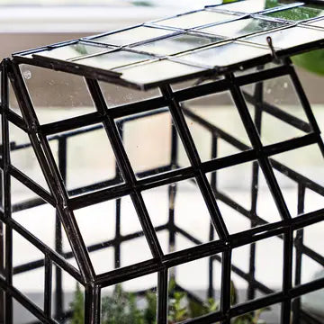 Lattice House Glass Terrarium Modern Greenhouse Planter – angled view