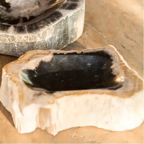 Petrified Wood Bowl - Urban Ashram