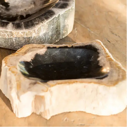 Petrified Wood Bowl - Urban Ashram