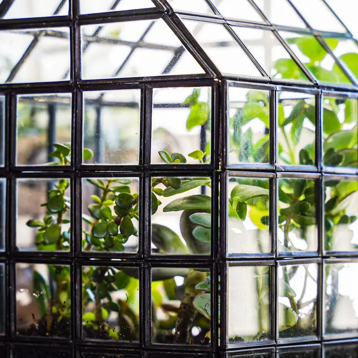 Lattice House Glass Terrarium Modern Greenhouse Planter – top-down view