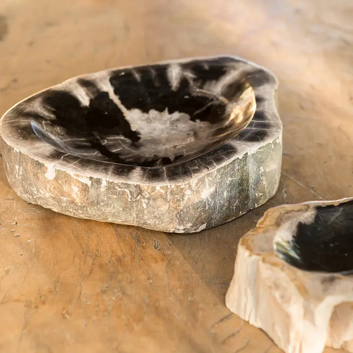 Petrified Wood Bowl - Urban Ashram