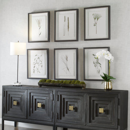 Forest Finds Framed Prints,Set of 6