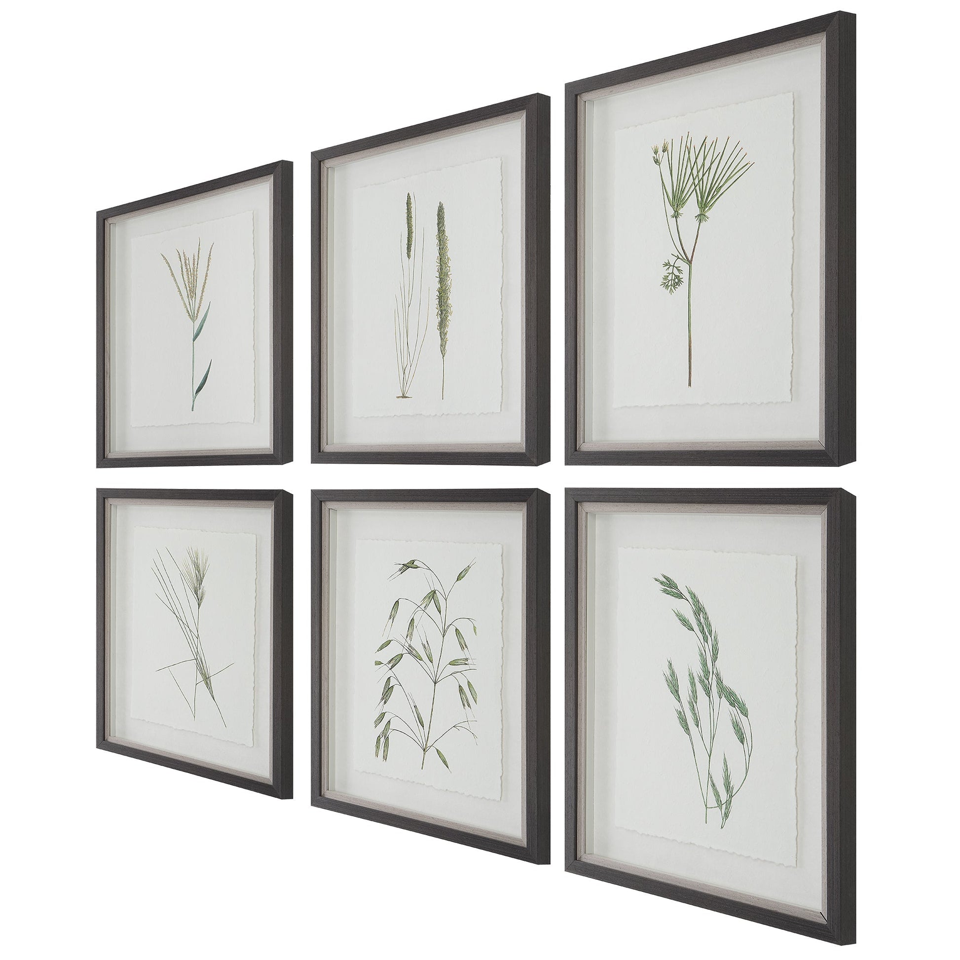 Forest Finds Framed Prints,Set of 6