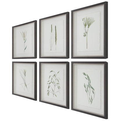 Forest Finds Framed Prints,Set of 6