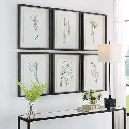 Forest Finds Framed Prints,Set of 6