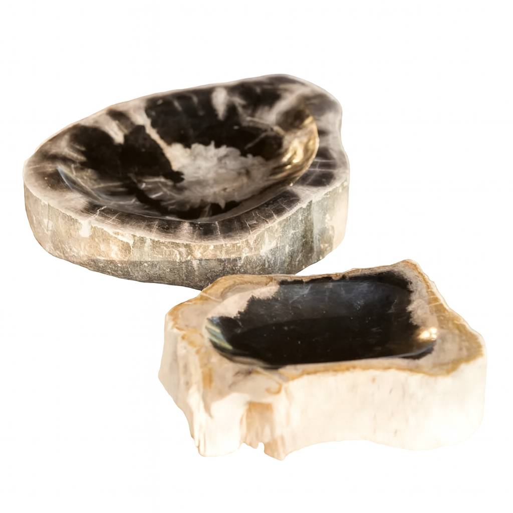Petrified Wood Bowl