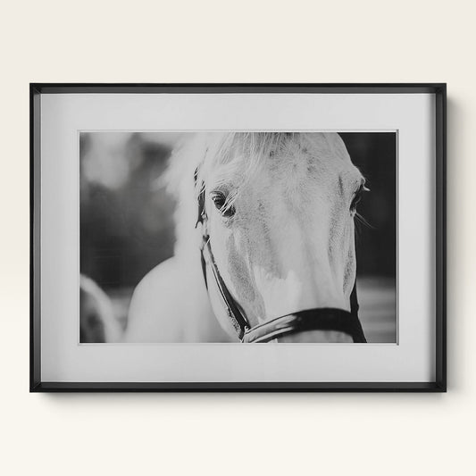 Eyes On The Prize Framed Print